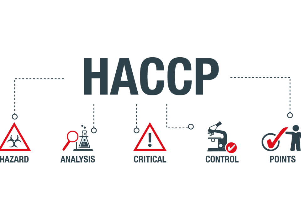 HACCP online