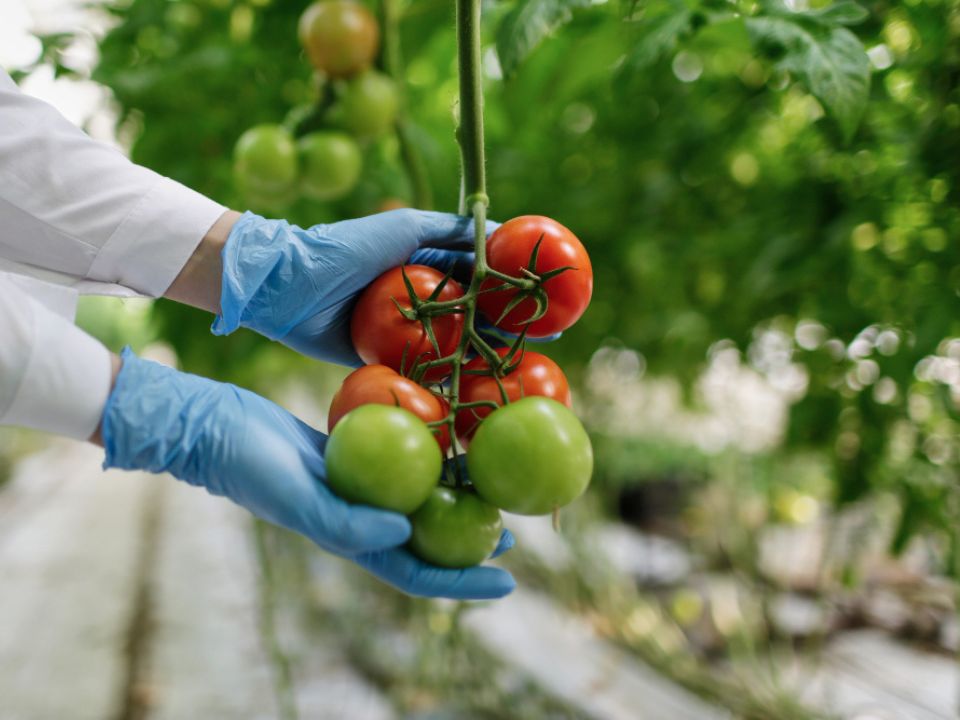 ISO 22000:2018