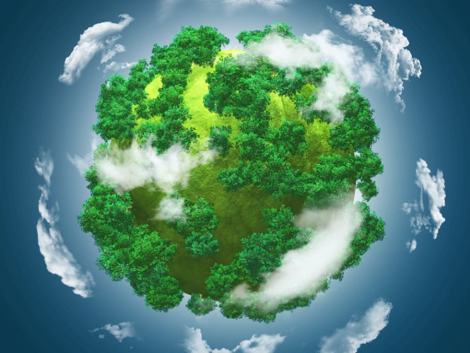 Giornata mondiale dell'ambiente
